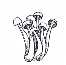 水果活动蘑菇