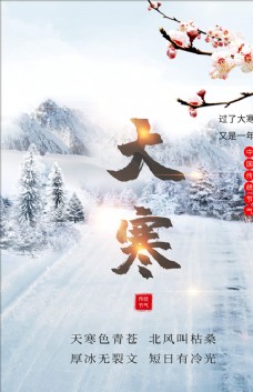 冬天中国传统节气大寒海报