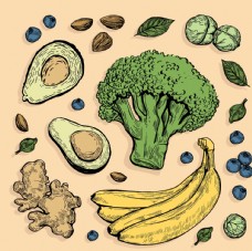 绿色蔬菜矢量厨房蔬菜食品素材