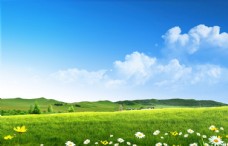 山水蓝天白云绿草地鲜花风景图片素材