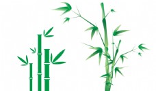自然景观矢量竹子