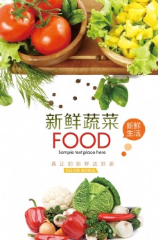 绿色蔬菜蔬菜海报