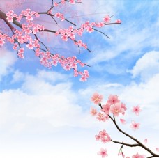 春季桃花背景
