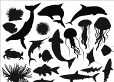 鱼类海洋生物剪影
