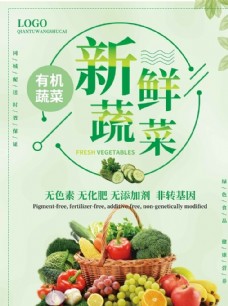 有机蔬菜水果海报宣传页易拉宝