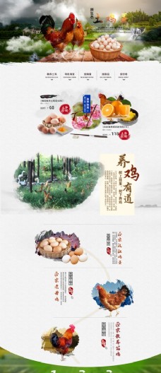 食品海报土鸡蛋农副产品首页图片
