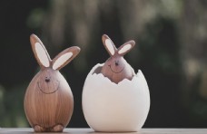 复活节 彩蛋 兔子