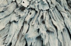 树根摄影木纹
