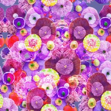 数码背景蘑菇背景彩色蘑菇数码印花