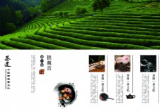 中国风茶道宣传画册