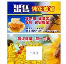 发芽蜂蜜名片宣传单
