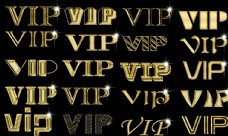 vip贵宾卡VIP样式