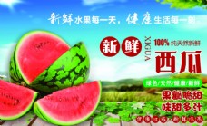 果蔬系列水果海报