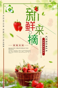水果展板新鲜草莓采摘海报