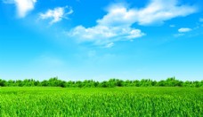 草地素材蓝天白云绿草背景
