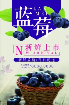 进口蔬果蓝莓新鲜上新海报