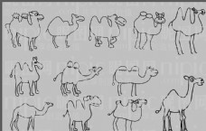 骆驼卡通