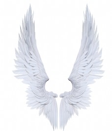 白色天使翅膀高清摄影