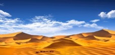 沙漠蓝天白云骆驼