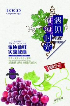 水果店海报葡萄水果店促销海报