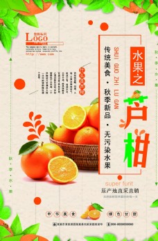 水果海报新鲜水果芦柑海报