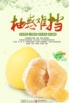 创意画册清新柚子宣传海报