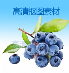 有机水果蓝莓