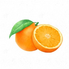 夏日橙子矢量