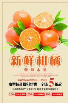 进口水果新鲜柑橘海报设计