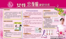 女性宫颈癌知识宣传展板