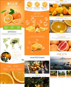 
                    淘宝天猫水果脐橙描述详情页图片
