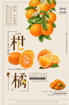 有机水果柑橘