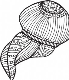 海螺素描简单图片