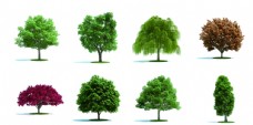 绿树绿色植物树素材