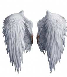 天使 翅膀
