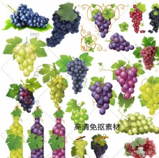 水珠素材葡萄