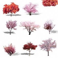 春季背景樱花树png