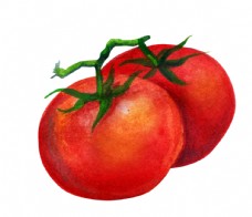 豌豆西红柿