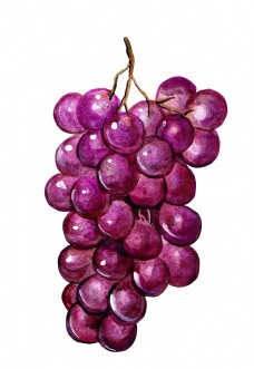 豌豆葡萄