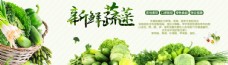 绿色蔬菜新鲜蔬菜电商banner