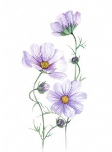 水彩效果植物花朵绘画素材