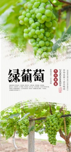 有机水果绿葡萄水果海报