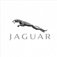 捷豹 jaguar logo