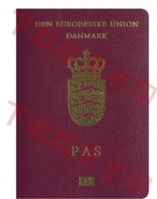 出国护照丹麦护照