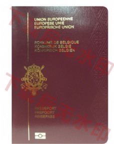 出国护照比利时护照
