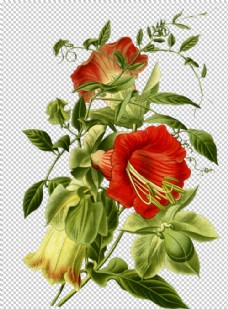 鲜花装饰复古鲜花植物装饰图案