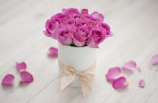 玫瑰花束玫瑰粉色花束花朵花瓣