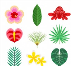 彩色热带花卉和叶子矢量素材