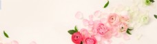 玫瑰花花瓣温馨浪漫背景