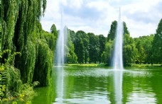 喷泉设计池水喷泉树林